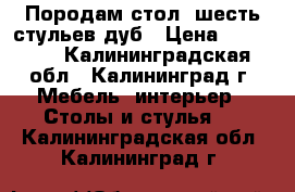 Породам стол, шесть стульев дуб › Цена ­ 30 000 - Калининградская обл., Калининград г. Мебель, интерьер » Столы и стулья   . Калининградская обл.,Калининград г.